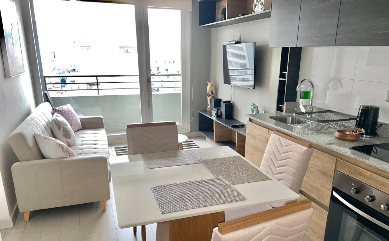 Apartamentos Concepcion Centro 外观 照片