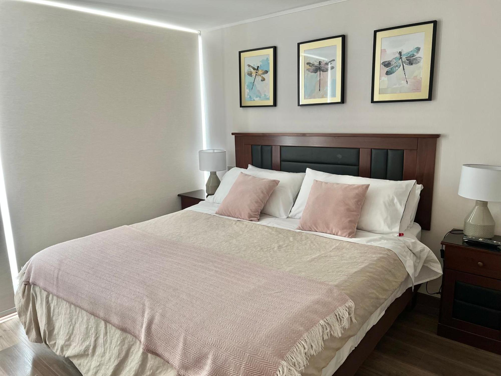 Apartamentos Concepcion Centro 外观 照片