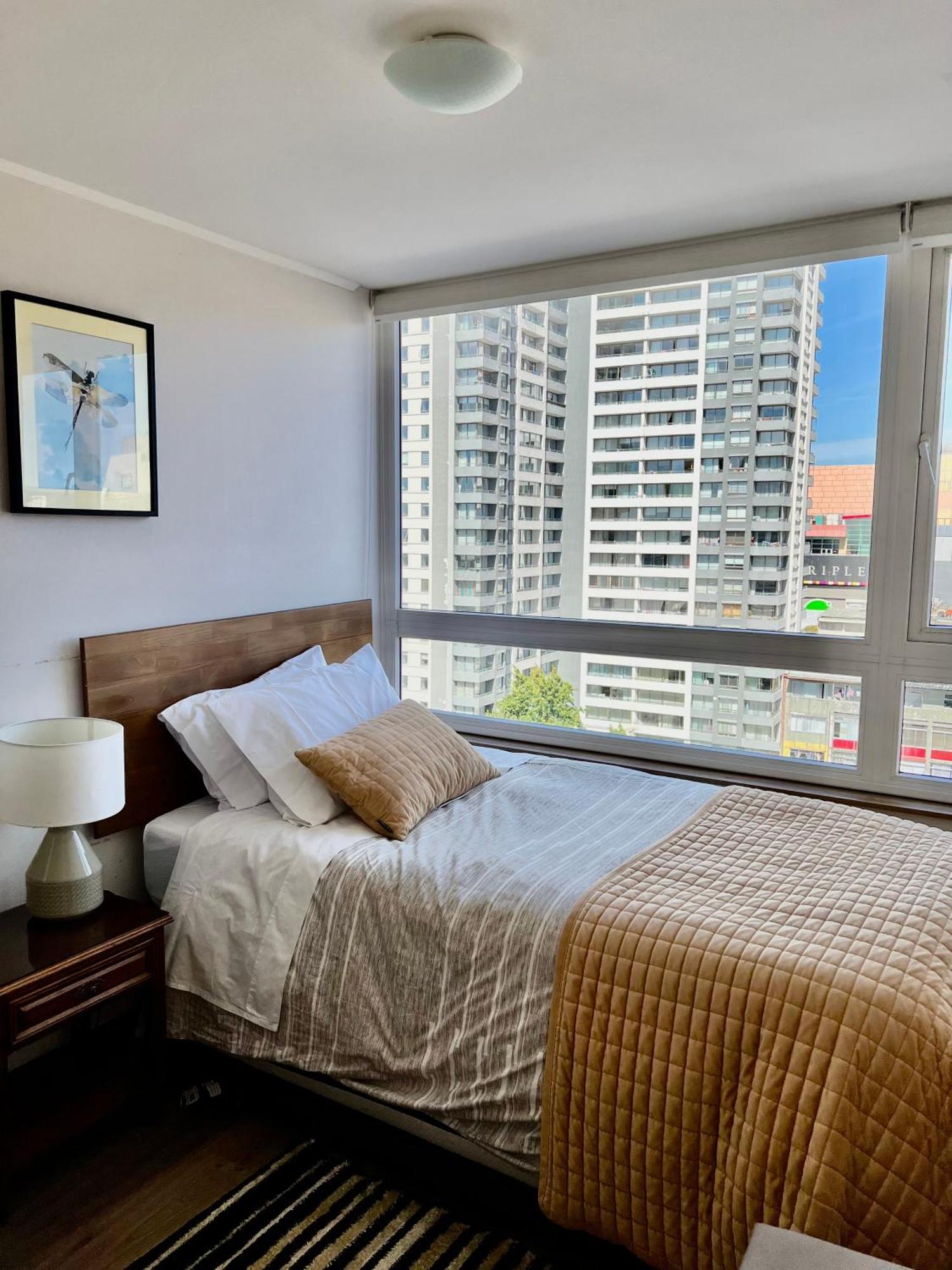 Apartamentos Concepcion Centro 外观 照片