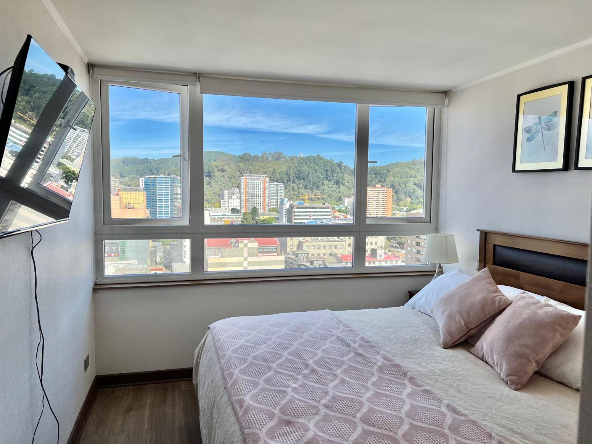 Apartamentos Concepcion Centro 外观 照片