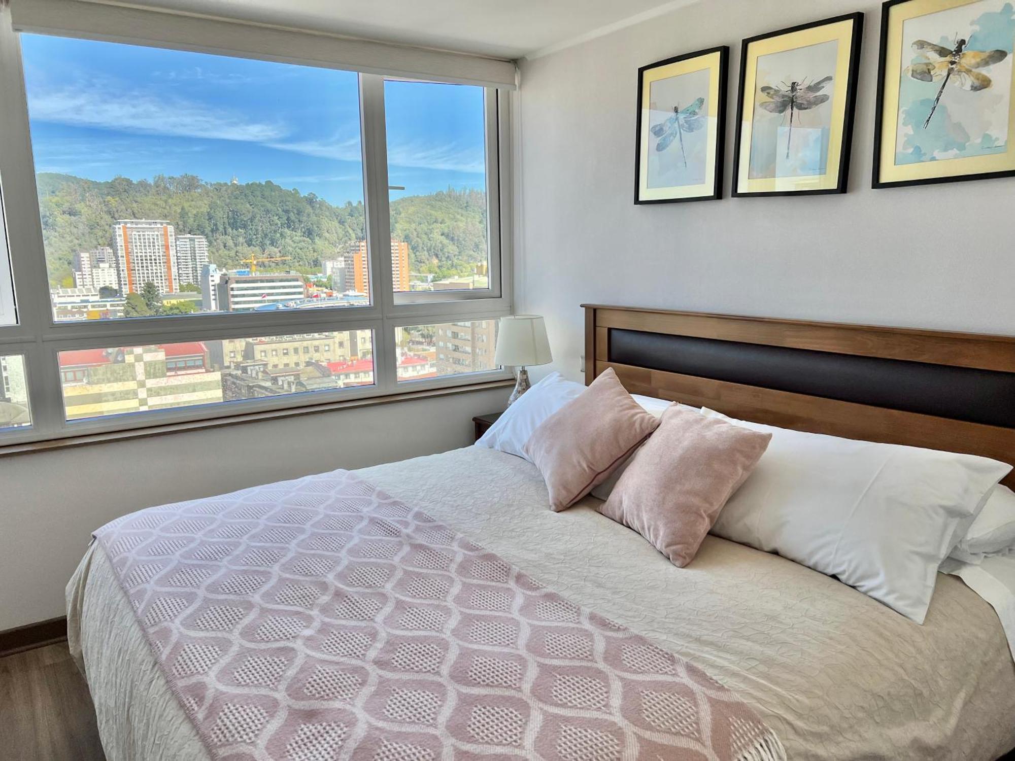 Apartamentos Concepcion Centro 外观 照片